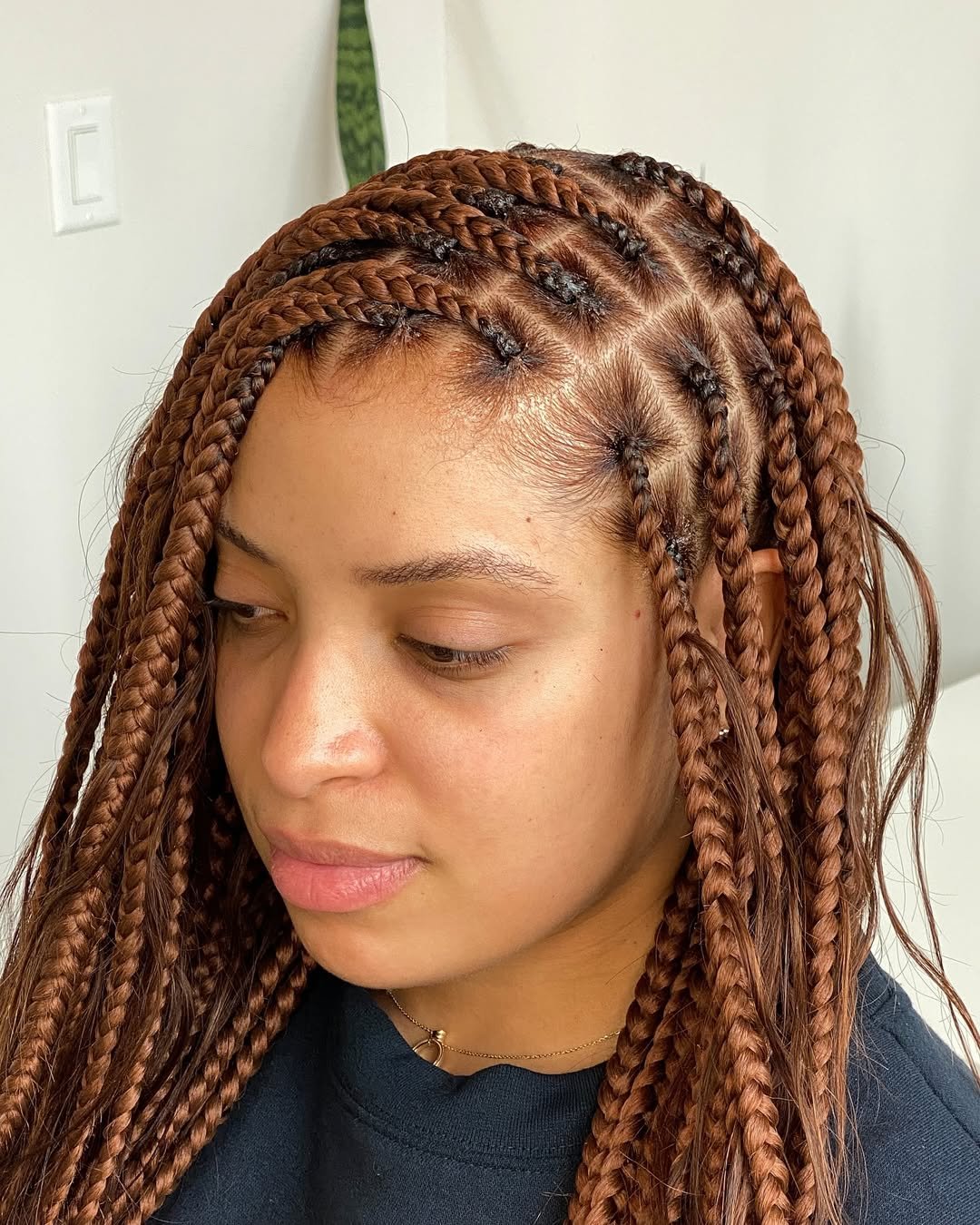 18 Stunning Braid Color Ideas for Every Style - trimizy.com