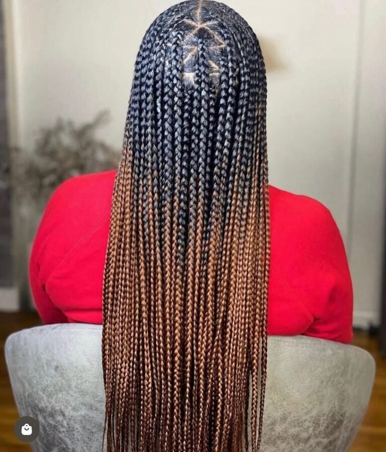 18 Stunning Braid Color Ideas for Every Style - trimizy.com