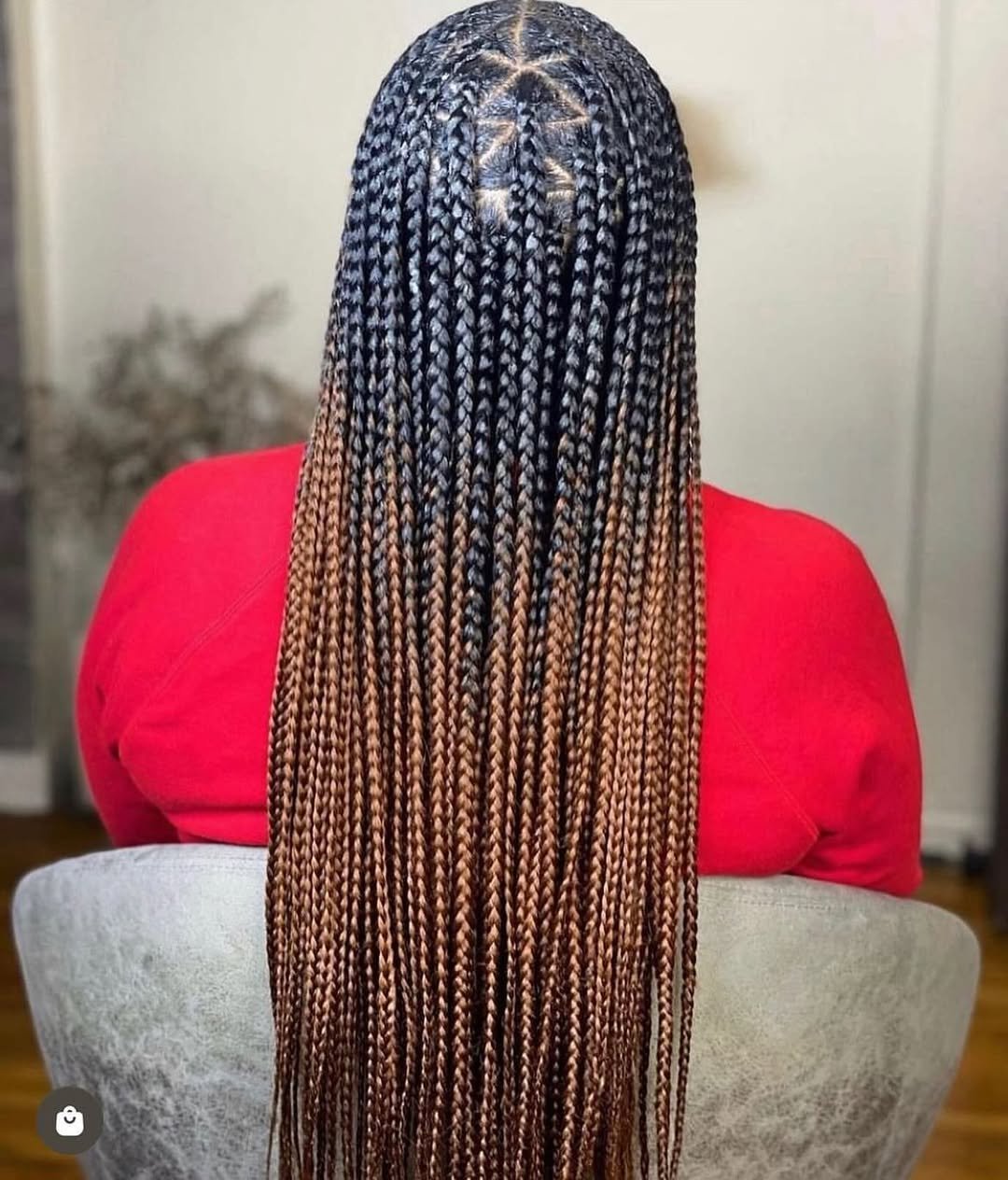 18 Stunning Braid Color Ideas for Every Style - trimizy.com